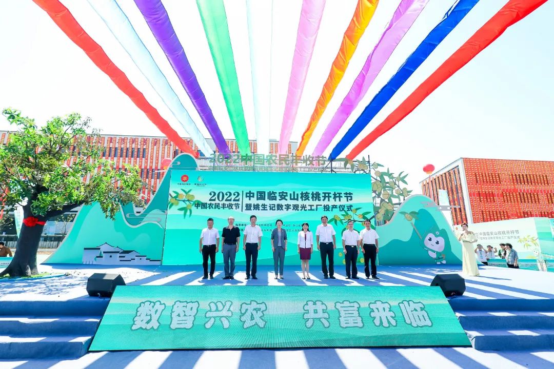 【一线投影】白露到，山核桃开打啦！“杭建速度”助力临安山核桃产业高质量发展
